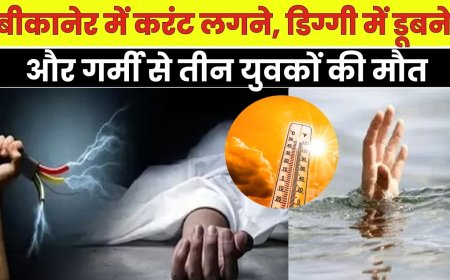 बीकानेर में करंट लगने, डिग्गी में डूबने और गर्मी से तीन युवकों की मौत