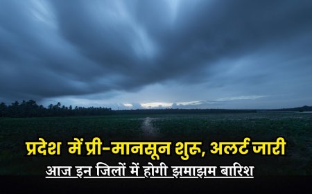 प्रदेश  में प्री-मानसून शुरू, आज इन जिलों में होगी झमाझम बारिश, अलर्ट जारी
