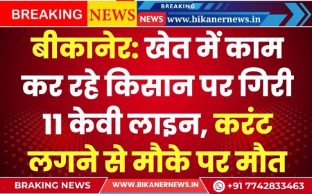 बीकानेर: खेत में काम कर रहे किसान पर गिरी 11 केवी लाइन, करंट लगने से मौके पर मौत
