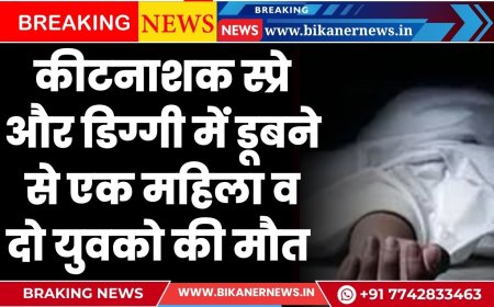 बीकानेर: कीटनाशक स्प्रे और डिग्गी में डूबने से एक महिला व दो युवको की मौत 