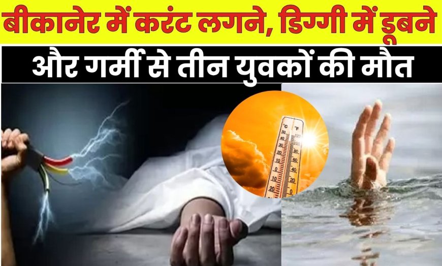 बीकानेर में करंट लगने, डिग्गी में डूबने और गर्मी से तीन युवकों की मौत