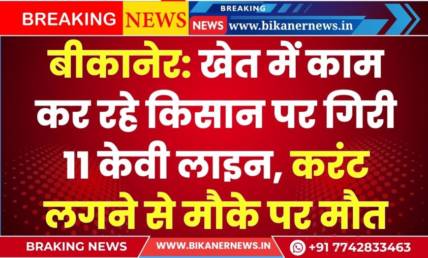 बीकानेर: खेत में काम कर रहे किसान पर गिरी 11 केवी लाइन, करंट लगने से मौके पर मौत