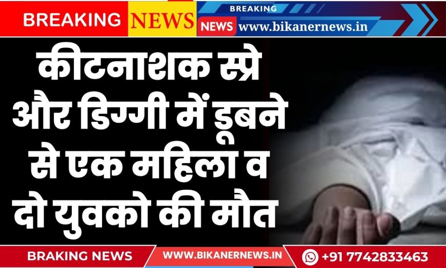 बीकानेर: कीटनाशक स्प्रे और डिग्गी में डूबने से एक महिला व दो युवको की मौत