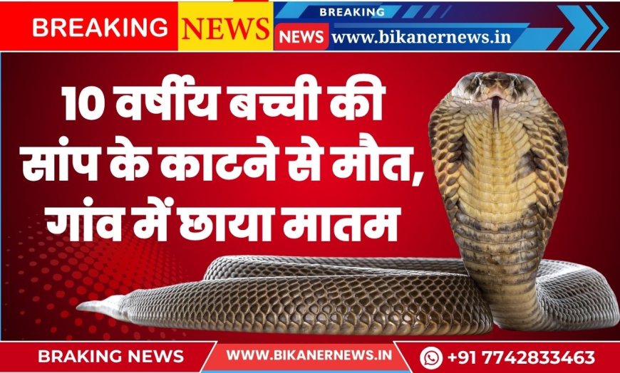 10 वर्षीय बच्ची की सांप के काटने से मौत, गांव में छाया मातम