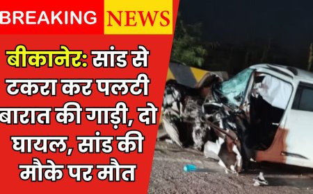 बीकानेर: सांड से टकरा कर पलटी बारात की गाड़ी, दो घायल, सांड की मौके पर मौत