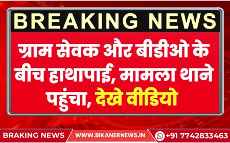 ग्राम सेवक और बीडीओ के बीच हाथापाई, मामला थाने पहुंचा, देखे वीडियो