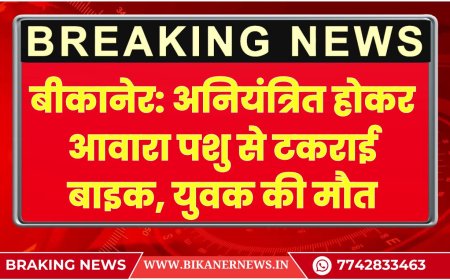 बीकानेर: अनियंत्रित होकर आवारा पशु से टकराई बाइक, युवक की मौत