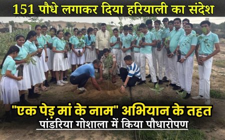 NAPASAR NEWS: 151 पौधे लगाकर दिया हरियाली का संदेश "एक पेड़ मां के नाम" अभियान के तहत पांडरिया गोशाला में किया पौधारोपण