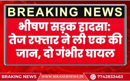 भीषण सड़क हादसा: तेज रफ्तार ने ली एक की जान, दो गंभीर घायल