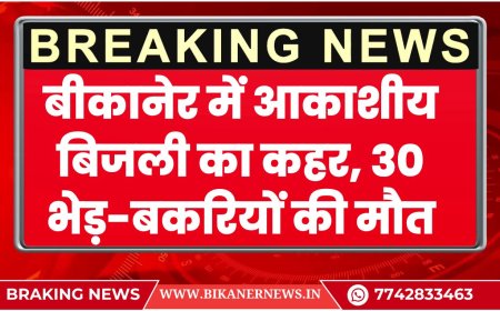 बीकानेर में आकाशीय बिजली का कहर, 30 भेड़-बकरियों की मौत