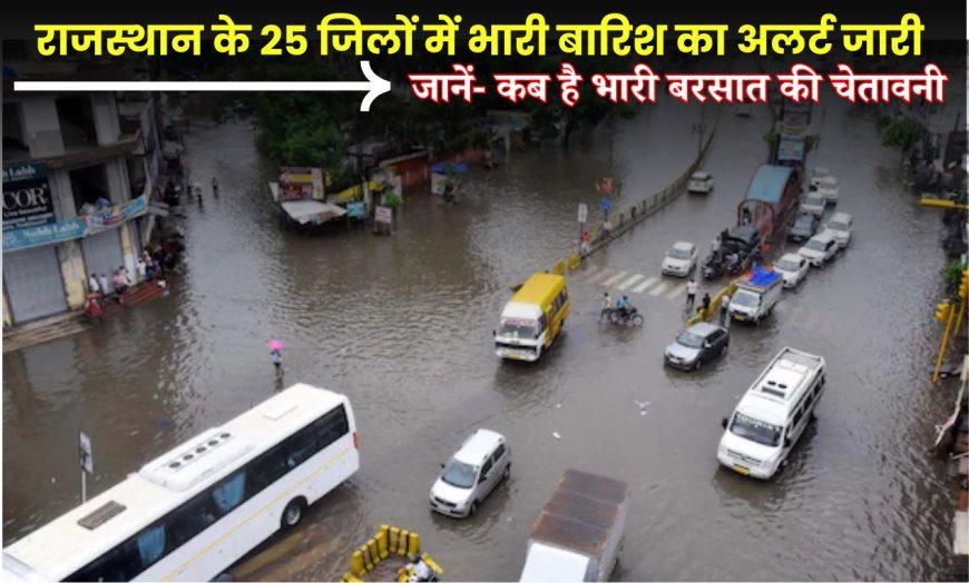 Monsoon activity in Rajasthan: राजस्थान के 25 जिलों में भारी बारिश का अलर्ट जारी