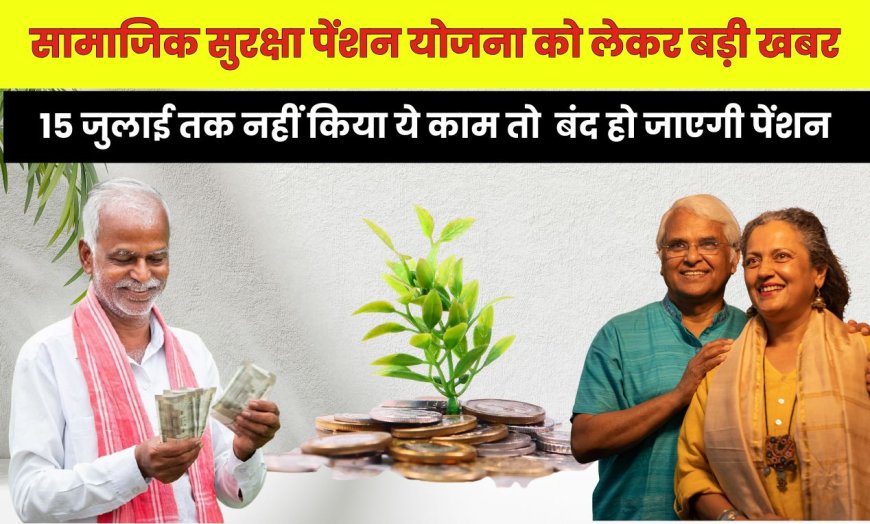 Pension Scheme: सामाजिक सुरक्षा पेंशन योजना को लेकर बड़ी खबर,15 जुलाई तक नहीं किया ये काम तो बंद हो जाएगी पेंशन