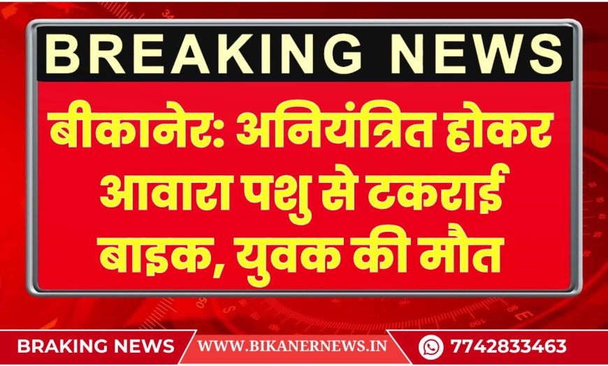 बीकानेर: अनियंत्रित होकर आवारा पशु से टकराई बाइक, युवक की मौत  