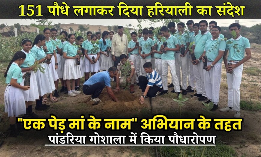 NAPASAR NEWS: 151 पौधे लगाकर दिया हरियाली का संदेश "एक पेड़ मां के नाम" अभियान के तहत पांडरिया गोशाला में किया पौधारोपण