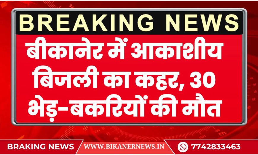 बीकानेर में आकाशीय बिजली का कहर, 30 भेड़-बकरियों की मौत