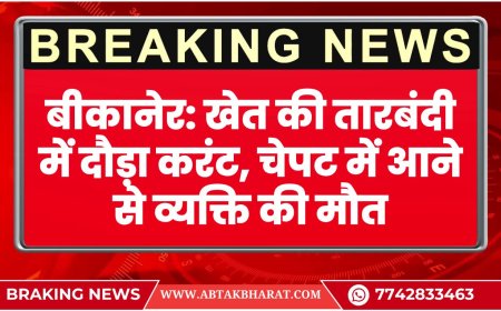 बीकानेर: खेत की तारबंदी में दौड़ा करंट, चेपट में आने से व्यक्ति की मौत