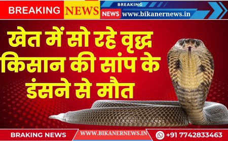 श्री डूंगरगढ़:खेत में सो रहे वृद्ध किसान की सांप के डंसने से मौत