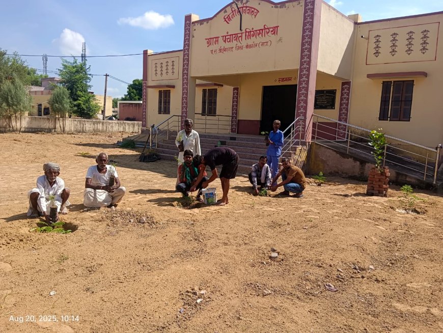 मिंगसरिया ग्राम पंचायत में वृक्षारोपण अभियान, युवाओं ने दिया पर्यावरण संरक्षण का संदेश