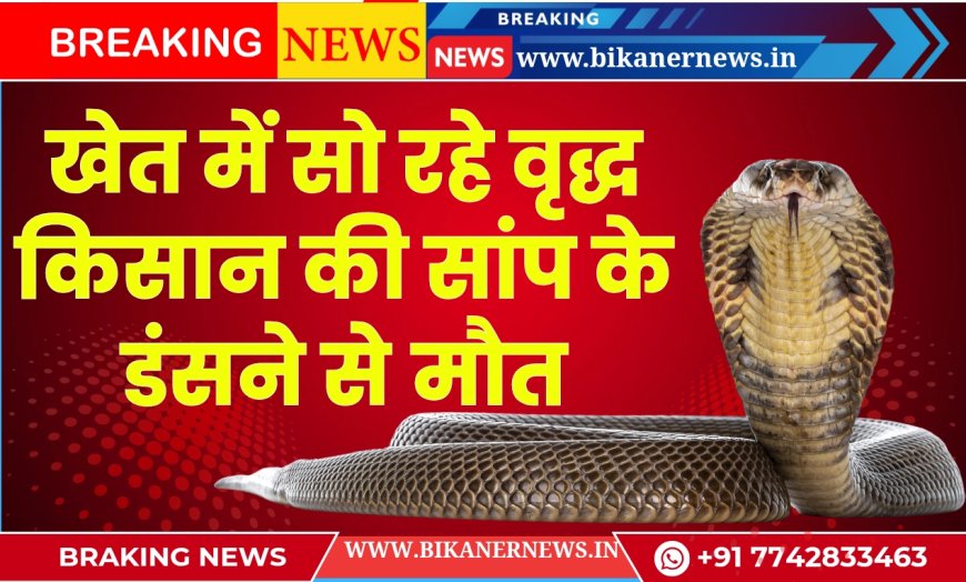 श्री डूंगरगढ़:खेत में सो रहे वृद्ध किसान की सांप के डंसने से मौत