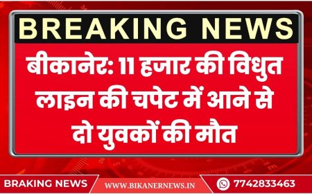 बीकानेर: 11 हजार की विधुत लाइन की चपेट में आने से दो युवकों की मौत