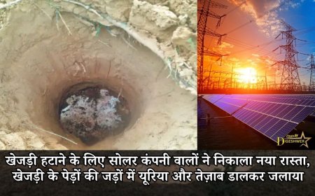 खेजड़ी हटाने के लिए सोलर कंपनी वालों ने निकाला नया रास्ता, खेजड़ी के पेड़ों की जड़ों में यूरिया और तेज़ाब डालकर जलाया, ग्रामीण बैठे धरने पर