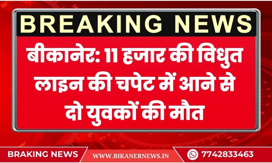 बीकानेर: 11 हजार की विधुत लाइन की चपेट में आने से दो युवकों की मौत