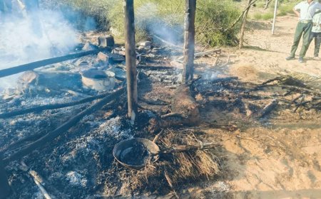 बीकानेर : चार स्थानों पर आग का कहर, सात बकरियां जिंदा जली, हुआ लाखों का नुकसान