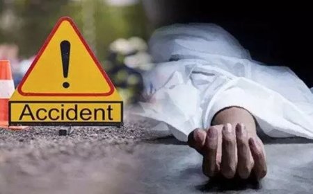 बीकानेर: पुलिया के पास खड़े युवक को वाहन ने मारी टक्कर, हुई मौत