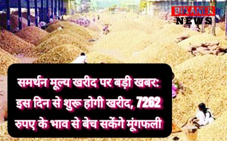 समर्थन मूल्य खरीद पर बड़ी खबर: इस दिन से शुरू होगी खरीद, 7262 रुपए के भाव से बेच सकेंगे मूंगफली 