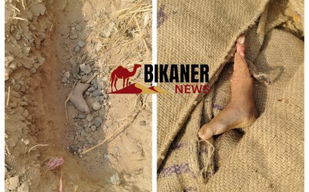 बीकानेर में कटे हुए इंसानी पैर मिलने से सनसनी, पुलिस हर एंगल से कर रही जाँच