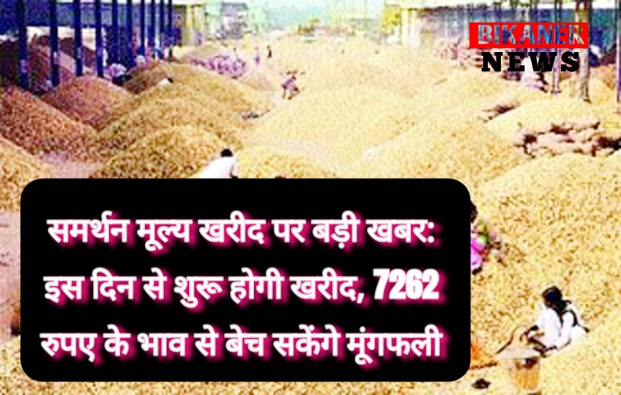 समर्थन मूल्य खरीद पर बड़ी खबर: इस दिन से शुरू होगी खरीद, 7262 रुपए के भाव से बेच सकेंगे मूंगफली 