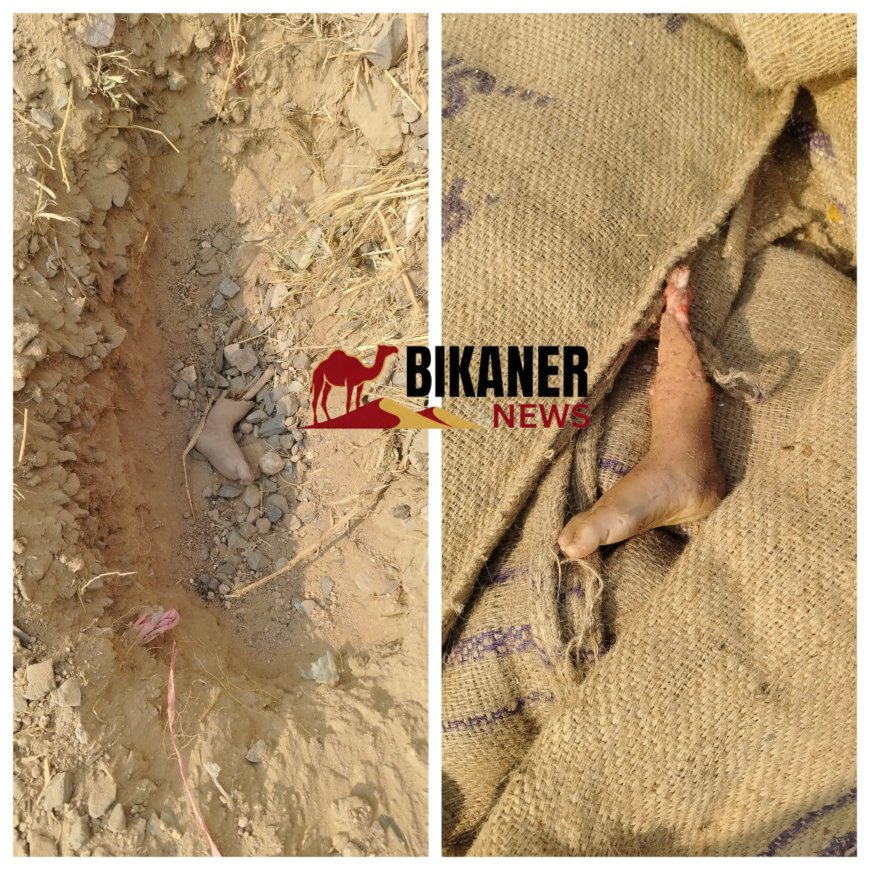 बीकानेर में कटे हुए इंसानी पैर मिलने से सनसनी, पुलिस हर एंगल से कर रही जाँच