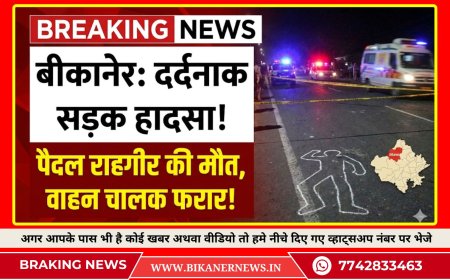 बीकानेर: सड़क किनारे पैदल चल रहे व्यक्ति को वाहन ने मारी टक्कर, हुई मौत  