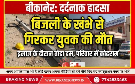 बीकानेर: बिजली के खंभे सहित नीचे गिरा युवक, इलाज के दौरान हुई मौत