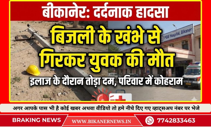 बीकानेर: बिजली के खंभे सहित नीचे गिरा युवक, इलाज के दौरान हुई मौत
