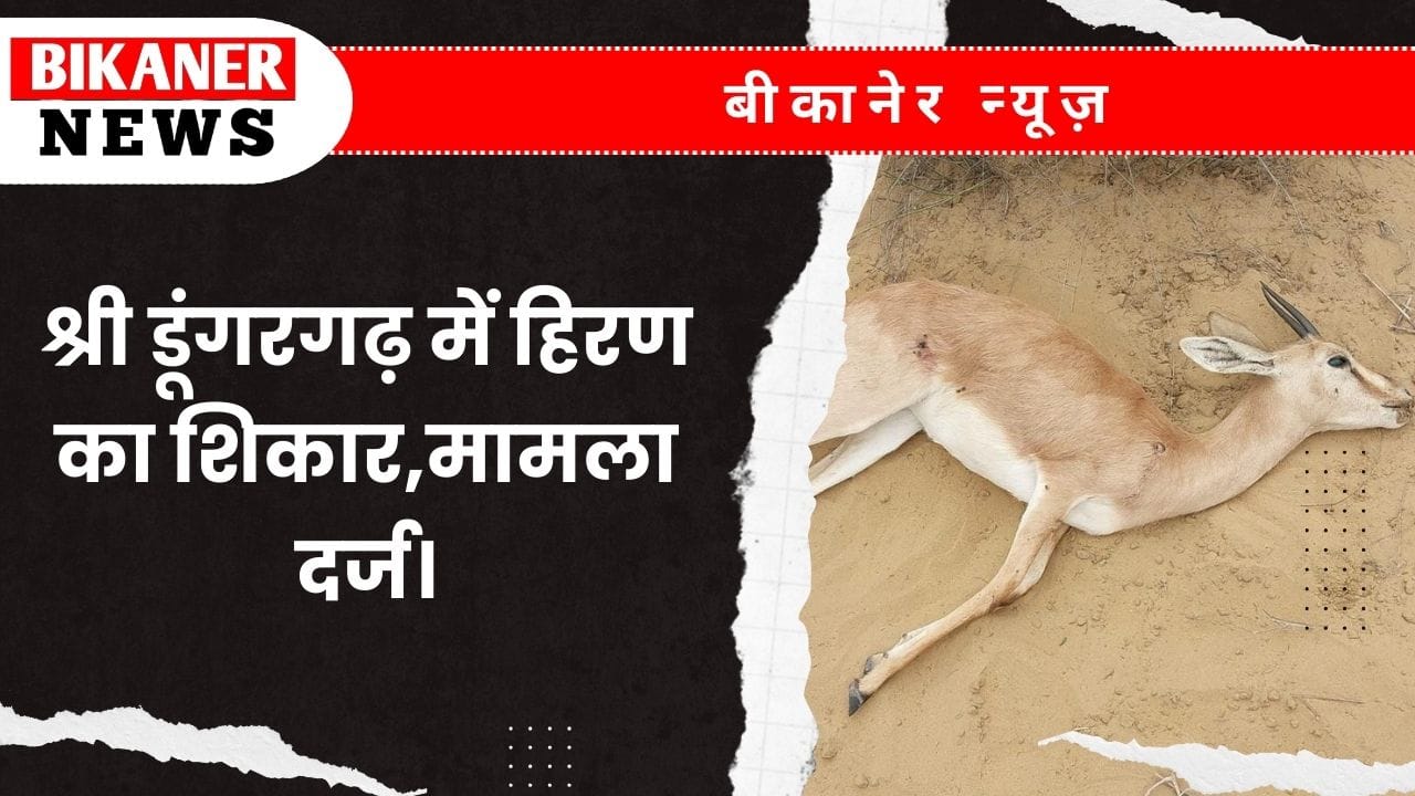 श्री डूंगरगढ़ में हिरण का शिकार,मामला दर्ज। 1 श्री डूंगरगढ़ में हिरण का शिकार,मामला दर्ज।