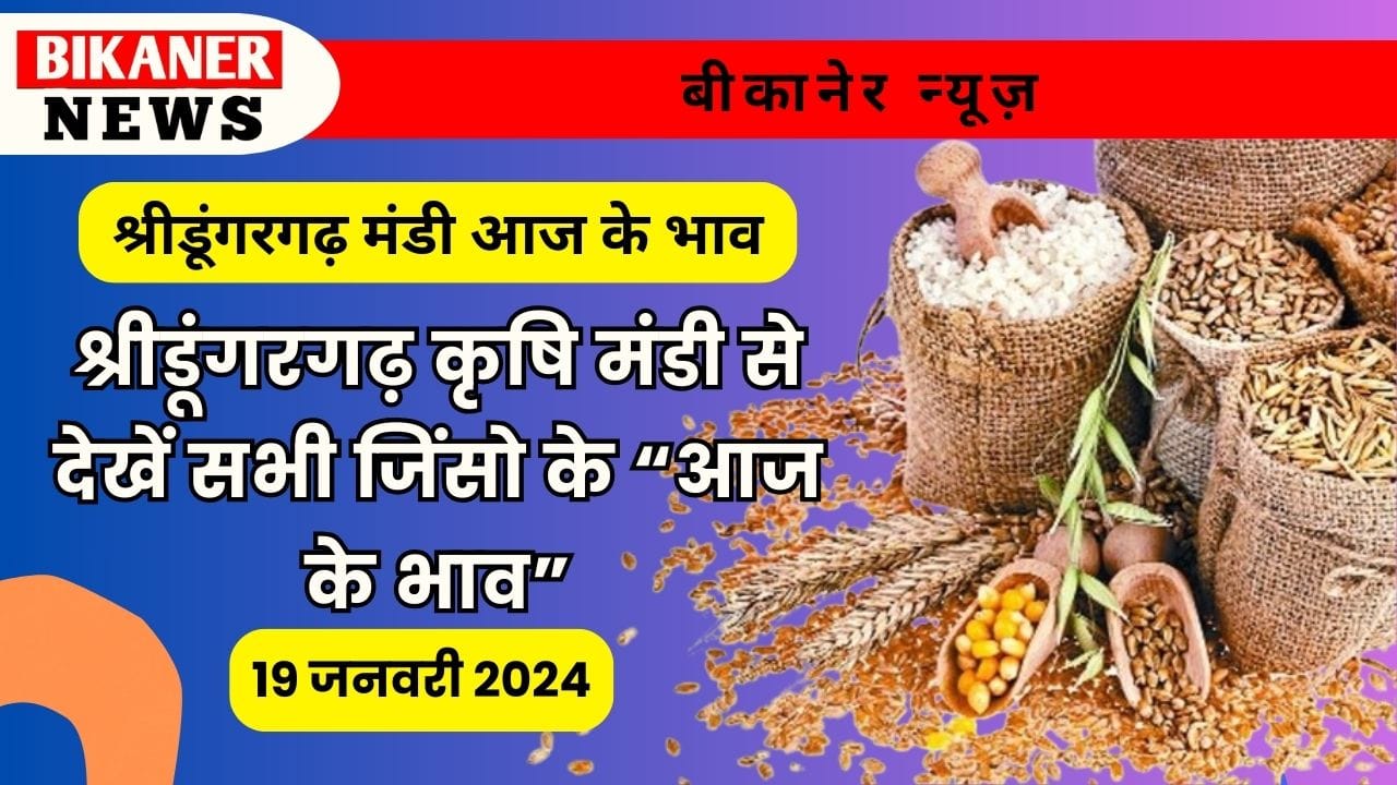 श्रीडूंगरगढ़ मंडी आज के भाव 19 जनवरी 2024